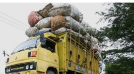Situasi di Pelabuhan Batuguluk, truk dengan muatan overload tetap dibiarkan lolos. Warga mendesak aparat lebih tegas melakukan pengawasan.
