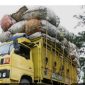 Situasi di Pelabuhan Batuguluk, truk dengan muatan overload tetap dibiarkan lolos. Warga mendesak aparat lebih tegas melakukan pengawasan.
