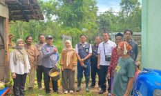 BPP Dungkek Lakukan Ubinan Jagung di Desa Bicabbih, Produktivitas Capai 6,24 Ton per Hektare