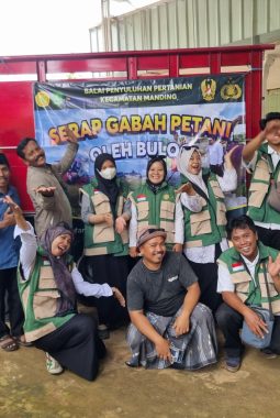 BPP Manding Laksanakan Serap Gabah Petani di Giring dan Manding Timur, Total 6,7 Ton Terserap