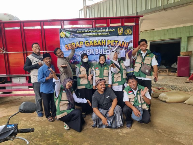 Foto/Dok : Semua Penyuluh dan Pengurus Gapoktancam se-Kecamatan Manding sedang laksanakan serap gabah di dua desa. @sumber_RADAR9.ID/Pimpinan Redaksi