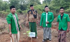 BUMA Amanah Farm dan GP Ansor Batuan Tanam Bibit Sukun di Gelugur, Perkuat Gerakan Satgas Hijau dan Ketahanan Pangan