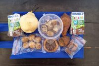 Foto: Paket Makan Bergizi Gratis (MBG) jatah tiga hari dari SPPG Kecamatan Manding yang diprotes orang tua siswa karena ketela rambat rebus diduga sudah berbau. Dok. RADAR9.ID.