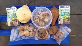 Foto: Paket Makan Bergizi Gratis (MBG) jatah tiga hari dari SPPG Kecamatan Manding yang diprotes orang tua siswa karena ketela rambat rebus diduga sudah berbau. Dok. RADAR9.ID.