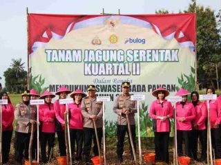 Polres Sumenep Tanam Jagung Serentak Kuartal II, Dorong Swasembada Pangan 2026