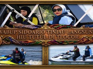Wabup Mimik Idayana Temukan Spot Hiu Paus di Jabon, Dorong Pengembangan Wisata Bahari Sidoarjo